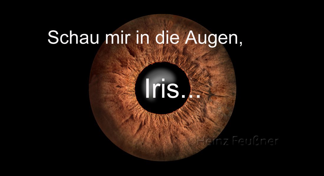 _FEUIRISschau3